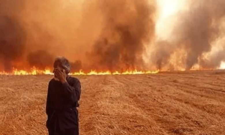وجه آخر للحرب القذرة ضد سوريا:إحراق حقول القمح