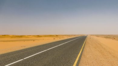 Photo of استكمال الطريق العابر للصحراء بين الجزائر ولاغوس في يونيو القادم