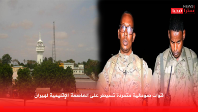 Photo of قوات صومالية متمردة تسيطر على العاصمة الإقليمية لهيران