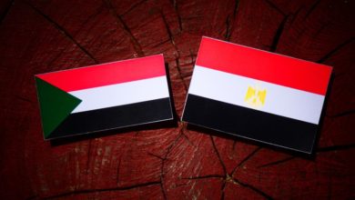 Photo of اتصالات مصرية سودانية لتسليم عناصر”إخوانية” متهمة بالإرهاب