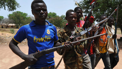 Photo of الميليشيات المدنية بالساحل الإفريقي قد تنزلق في متاهات توترات اجتماعية