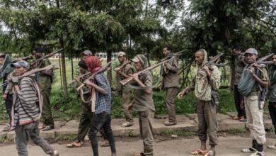 Photo of قائد جيش تحرير”أورومو”: قواتنا اقتربت من العاصمة أديس أبابا
