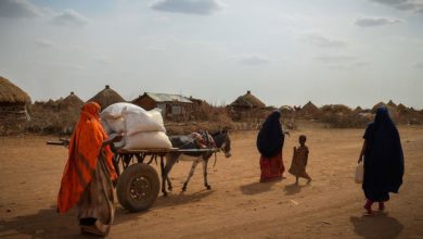 Photo of الجفاف قد يؤدي إلى تهجير 1.4 مليون شخص في الصومال