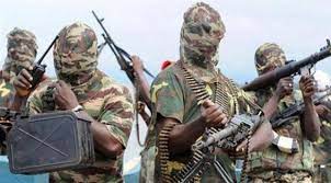 Photo of استسلام أكثر من 35 ألف إرهابي من” بوكو حرام” و”داعش”بنيجيريا