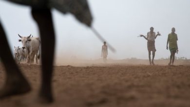 Photo of مصرع ثمانية أشخاص في قتال بين الصوماليين والعفر