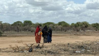 Photo of الجفاف يجبر 755 ألف صومالي على النزوح