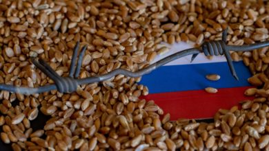 Photo of الأوتوقراطيّة والأمن الغذائي في روسيا بوتين