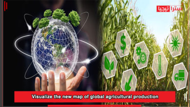 Photo of Visualize the new map of global agricultural production