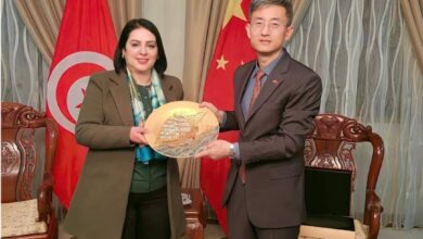 Photo of قعلول تلتقي بسفير جمهورية الصين الشعبية بتونس وتأكيد على تعزيز أواصر التعاون بين البلدين