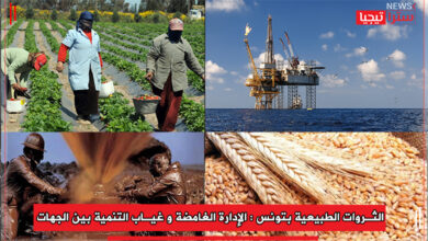 Photo of الثروات الطبيعية بتونس : الإدارة الغامضة و غياب التنمية بين الجهات.