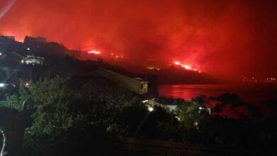 Photo of إخلاء منطقة بجاية الجزائرية على إثر نشوب حريق بإحدى غاباتها