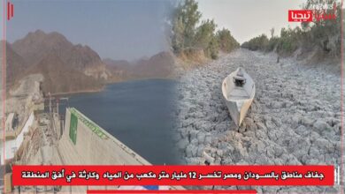 Photo of جفاف مناطق بالسودان ومصر تخسر 12 مليار متر مكعب من المياه  وكارثة في أفق المنطقة
