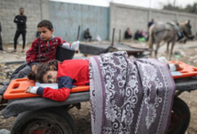 Photo of ‭ ‬الصحة‭ ‬العالمية‭ ‬: ‬سكان‭ ‬غزة‭ ‬معرضون‭ ‬للموت‭ ‬بسبب‭ ‬الأمراض‭ ‬أكثر‭ ‬من‭ ‬القصف