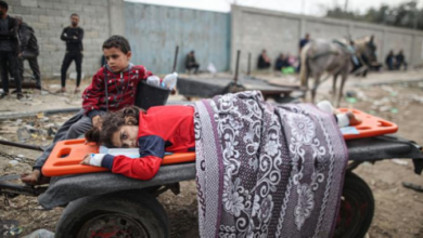 Photo of ‭ ‬الصحة‭ ‬العالمية‭ ‬: ‬سكان‭ ‬غزة‭ ‬معرضون‭ ‬للموت‭ ‬بسبب‭ ‬الأمراض‭ ‬أكثر‭ ‬من‭ ‬القصف