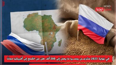 Photo of في نهاية 2023 سترسل روسيا ما يصل إلى 200 ألف طن من القمح إلى أفريقيا مجانًا
