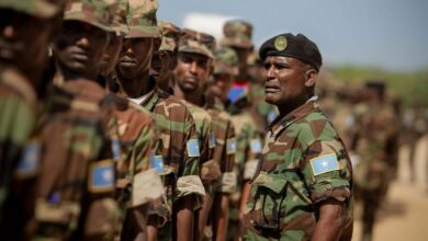 Photo of مقتل 26 عنصرا من حركة الشباب الارهابية وسط الصومال