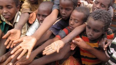 Photo of الأمم المتحدة تحذّر: 222 ألف طفل سوداني مهددون بالموت في الأسابيع المقبلة بسبب سوء التغذية