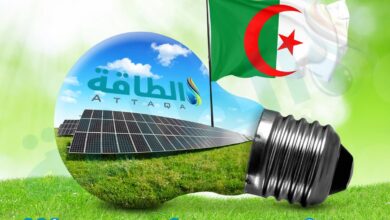 Photo of شركات صينية تبدأ بناء محطات الطاقة الكهروضوئية في الجزائر
