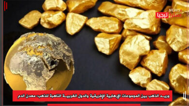 Photo of The Gold Vein Amidst African Terrorist Groups and Western Gold-Looting States: “The Blood Metal”
