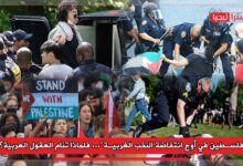 Photo of “فلسطين في أوج انتفاضة النخب الغربية”… فلماذا تنام العقول العربية؟