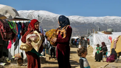 Photo of لبنان يعيد مئات اللاجئين إلى سوريا “في إطار العودة الطوعية”