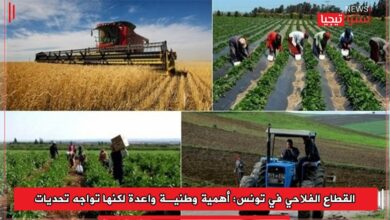 Photo of القطاع الفلاحي في تونس: أهمية وطنية واعدة لكنها تواجه تحديات