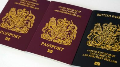 Photo of UK citizenship applications from US citizens hit record levels in 2024