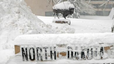 Photo of Blizzard conditions hit the Midwest while wildfires and tornadoes threaten Central US