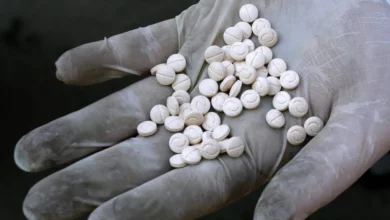 Photo of الجيش اللبناني يضبط معملاً لتصنيع الكبتاغون على الحدود السورية ويصادر كميات كبيرة من الحبوب والمواد الأولية