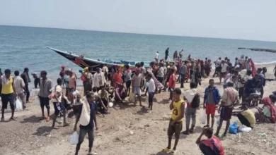 Photo of اليمن يواجه تصاعداً في موجات الهجرة غير الشرعية من القرن الأفريقي رغم الحرب والملاحقات الأمنية