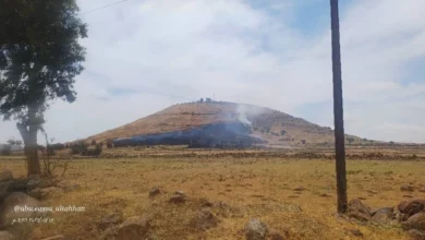 Photo of الجيش الإسرائيلي يحرق عشرات الدونمات الزراعية في ريف القنيطرة لمنع الرعي قرب قاعدة تل الأحمر