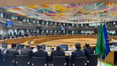 Photo of مصر تطالب بتعميق الشراكة الأفريقية الأوروبية لمكافحة الإرهاب وحل النزاعات ودعم الأمن الإقليمي